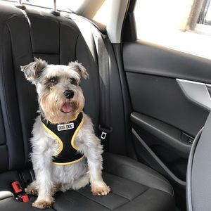 Meet your Posher, Carla